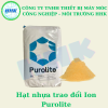 Hạt nhựa trao đổi Ion Purolite